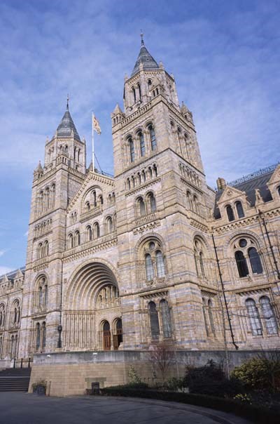 Vital Energi The Natural History Museum Our Story